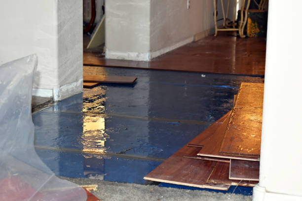 Professional Flood Cleanup technician working in Zarephath, NJ